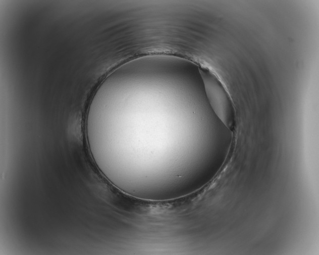 X0000089660345200707051534