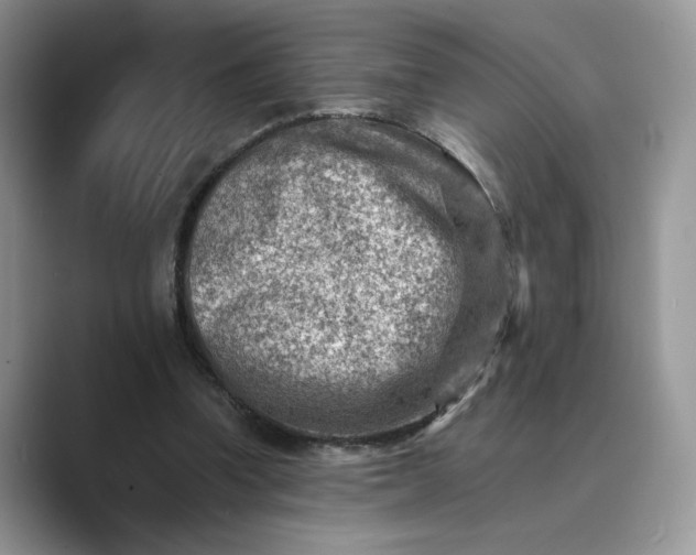 X0000089660346200707051534