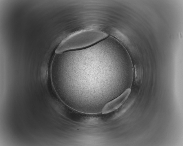 X0000089660348200707051534