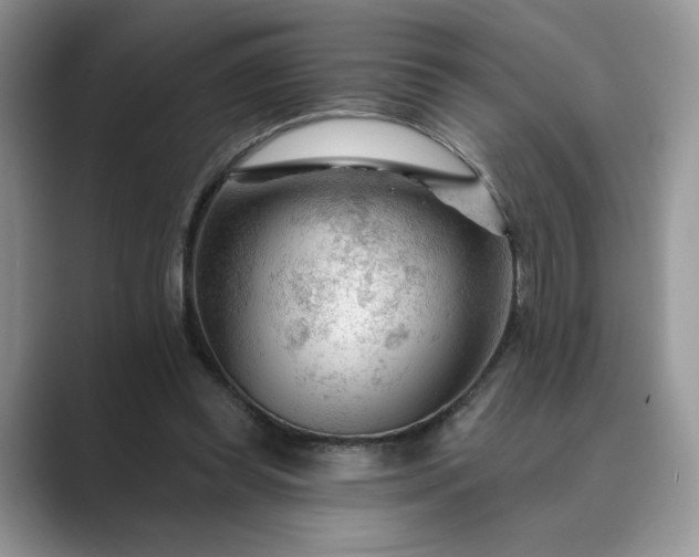 X0000089660349200707051534