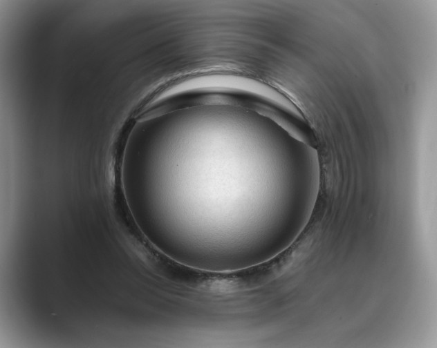 X0000089660350200707051534