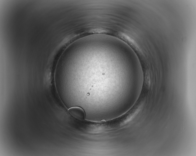 X0000089660351200707051534