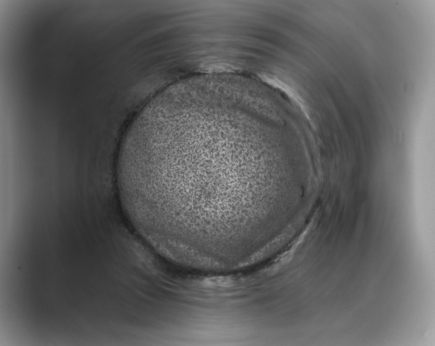 X0000089660353200707051534