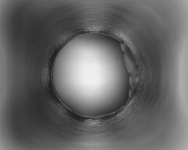 X0000089660354200707051534