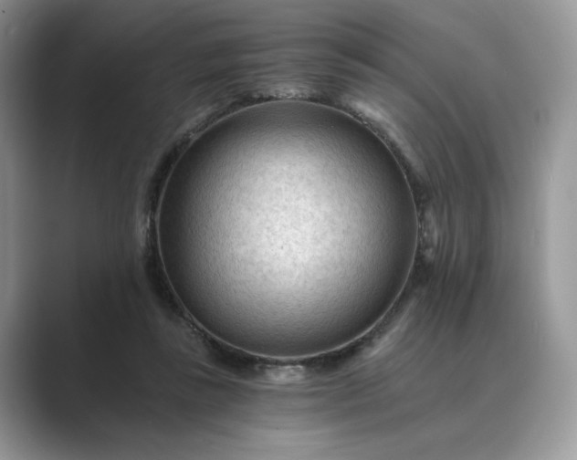 X0000089660355200707051534