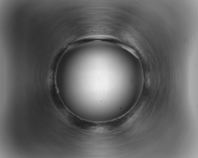 X0000089660356200707051534