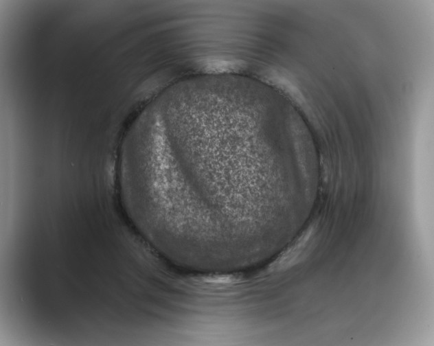 X0000089660357200707051534