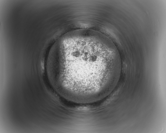 X0000089660358200707051534