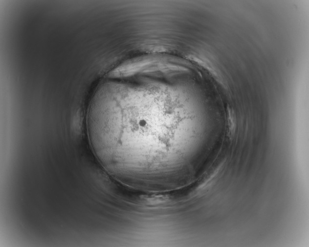 X0000089660359200707051534