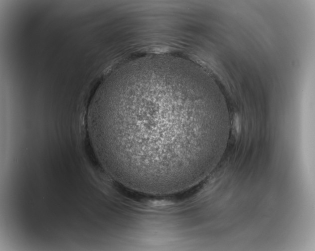 X0000089660360200707051534