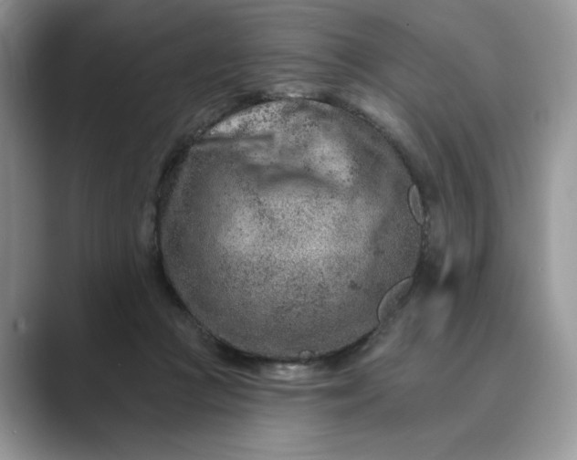 X0000089660361200707051534