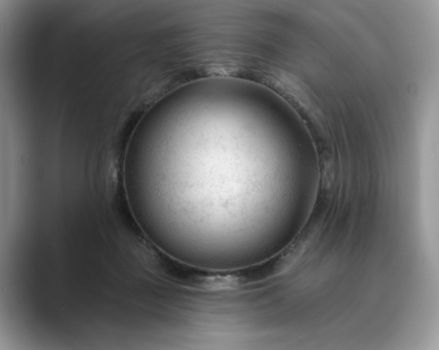 X0000089660363200707051534