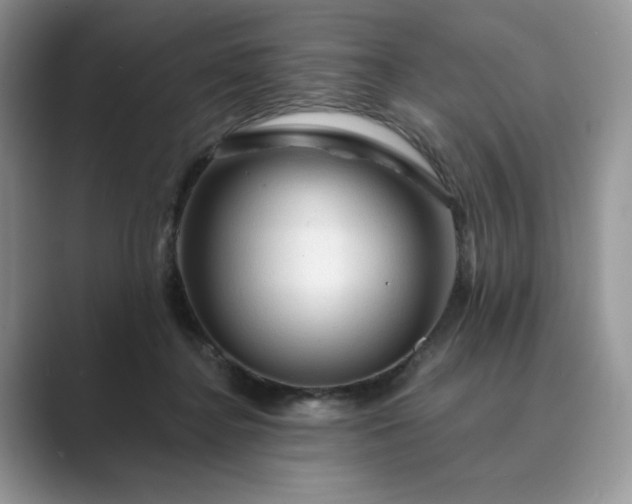 X0000089660364200707051534