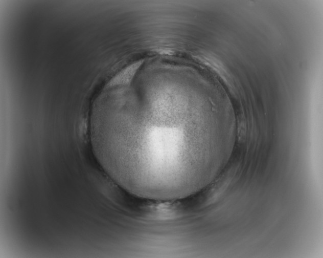 X0000089660365200707051534