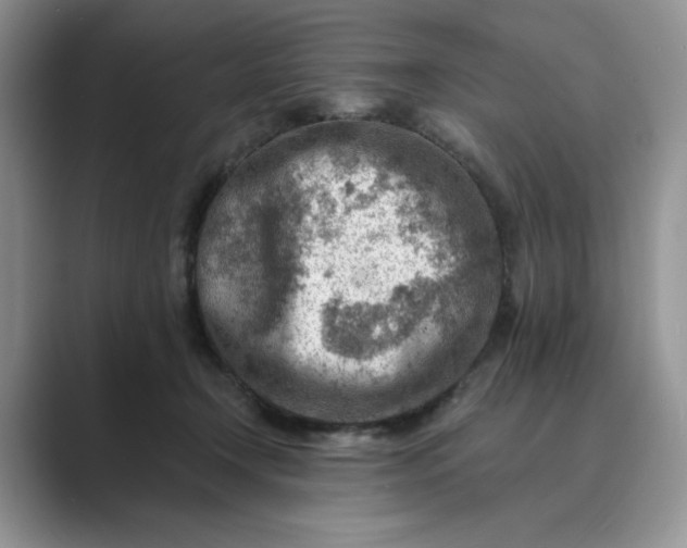 X0000089660366200707051534