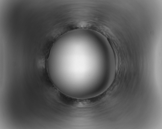 X0000089660368200707051534