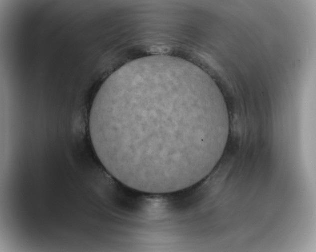 X0000089660370200707051534