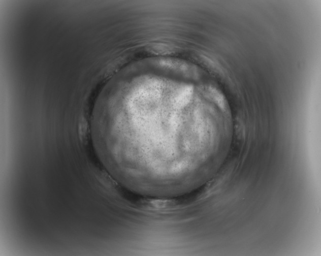 X0000089660371200707051534