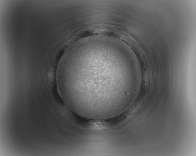 X0000089660372200707051534