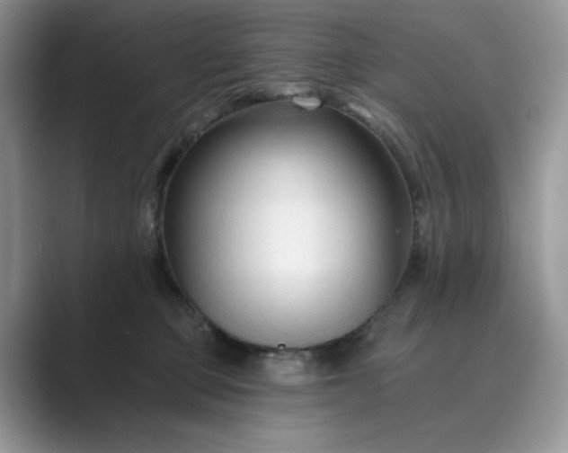 X0000089660373200707051534