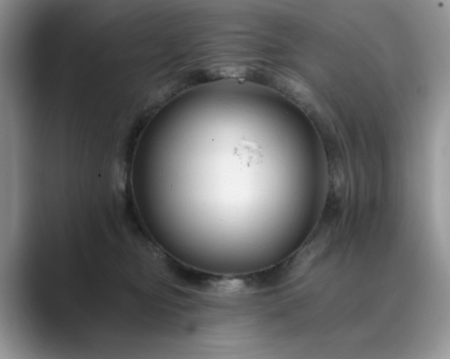 X0000089660374200707051534