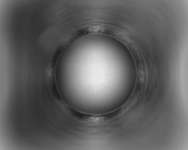 X0000089660375200707051534