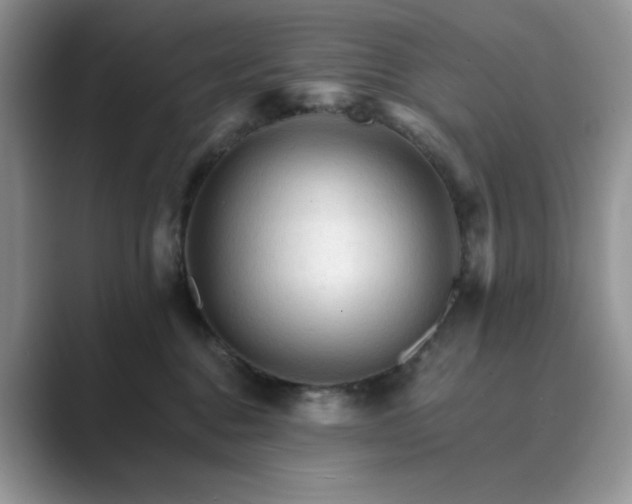 X0000089660376200707051534