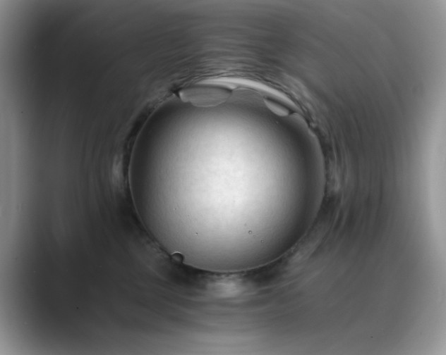 X0000089660377200707051534