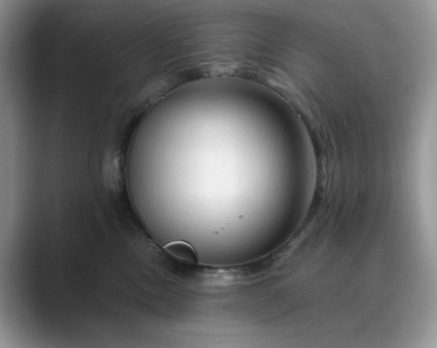 X0000089660378200707051534