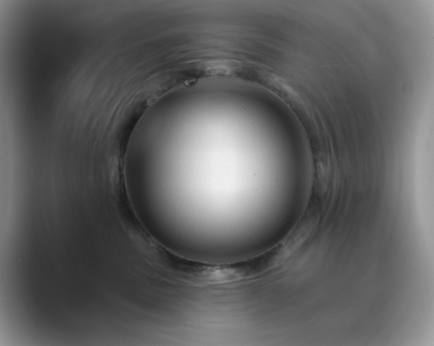 X0000089660379200707051534