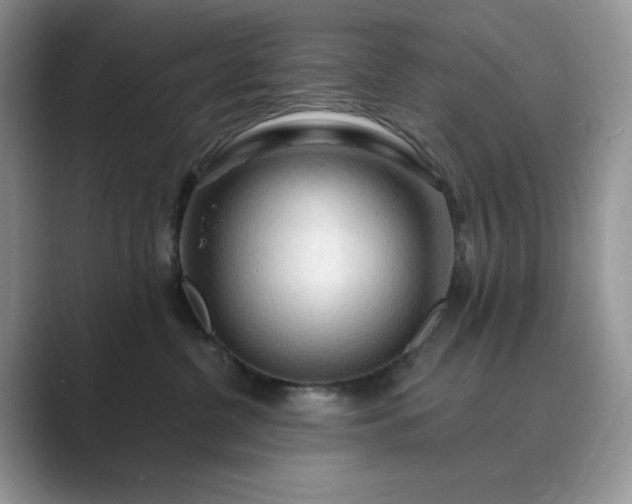 X0000089660380200707051534