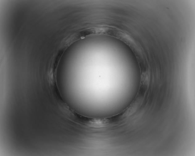 X0000089660381200707051534