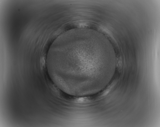 X0000089660382200707051534