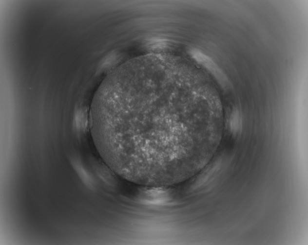 X0000089660383200707051534