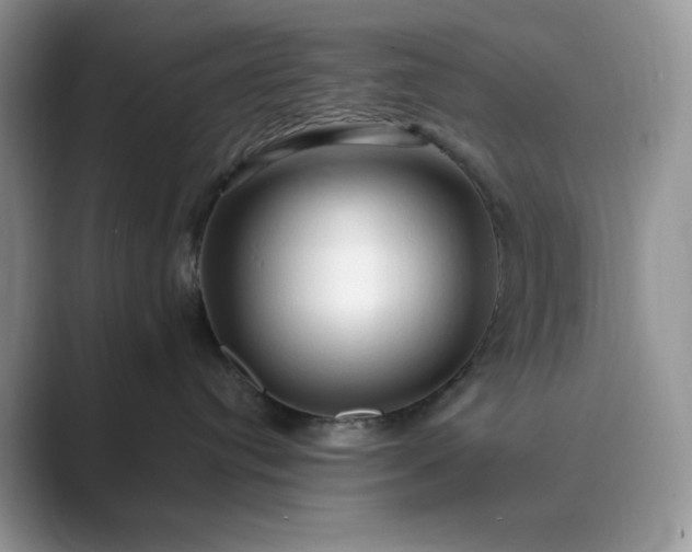 X0000089660384200707051534