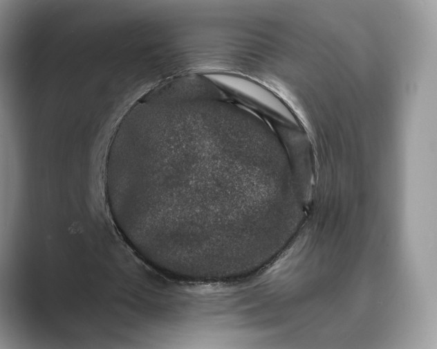 X0000089660385200707051534