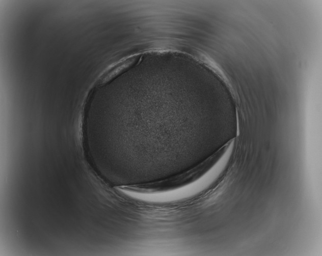 X0000089660387200707051534