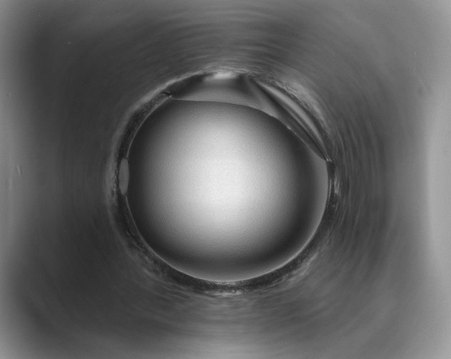 X0000089660388200707051534