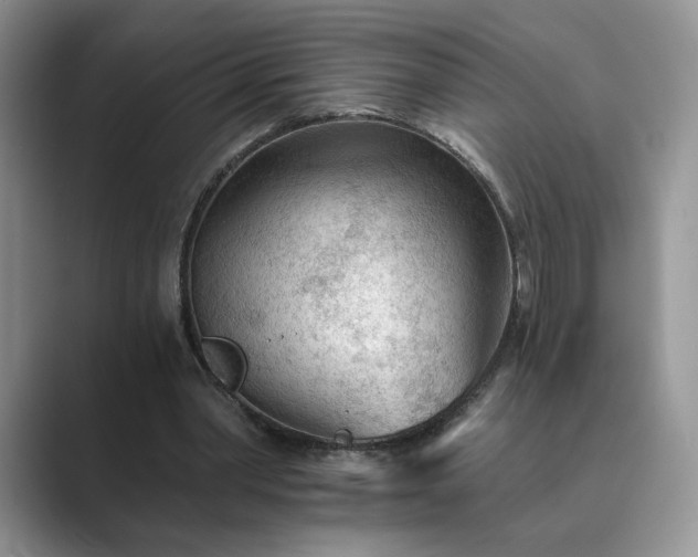 X0000089660390200707051534