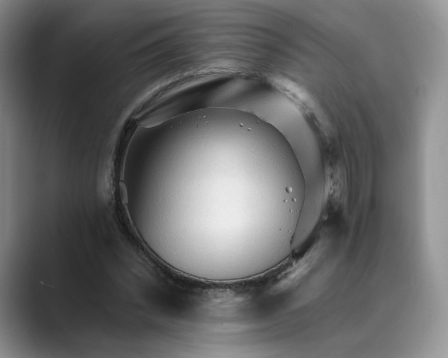 X0000089660392200707051534