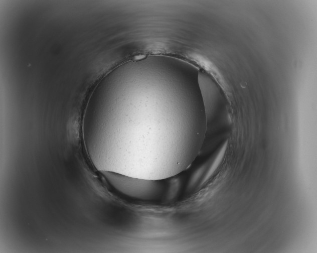 X0000089660393200707051534