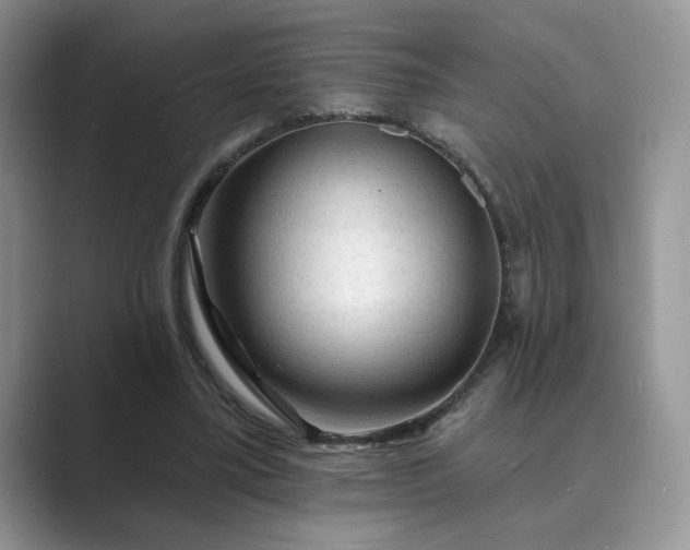 X0000089660395200707051534