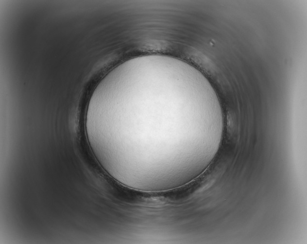 X0000089660396200707051534