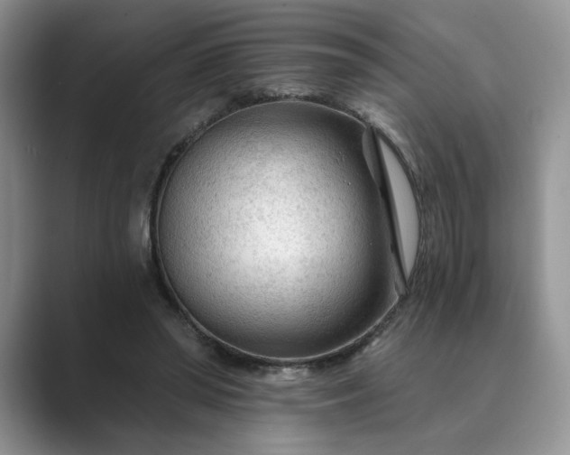 X0000089660398200707051534