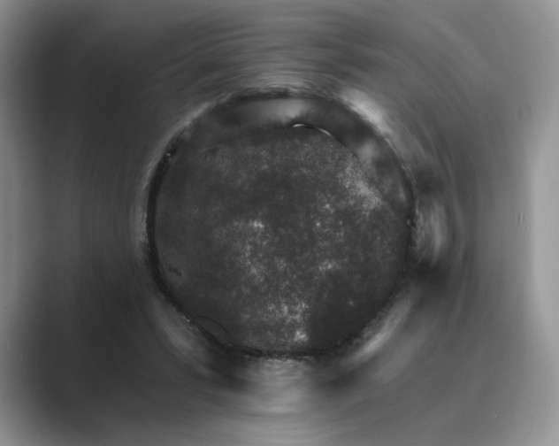 X0000089660399200707051534