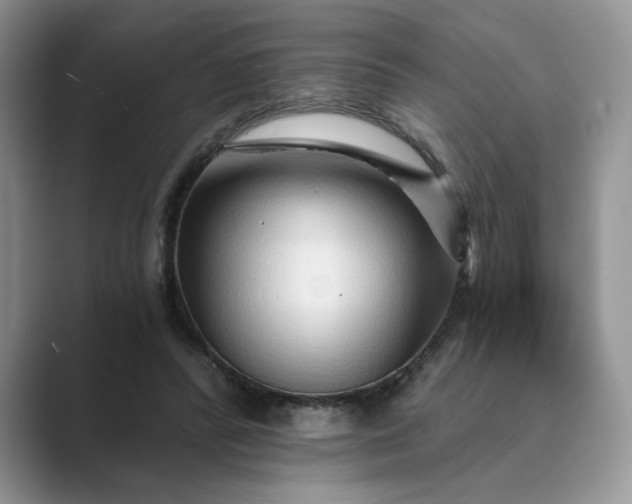 X0000089660400200707051534