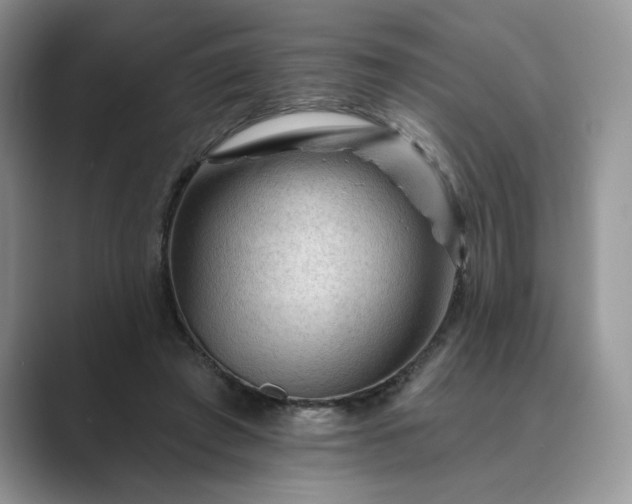 X0000089660401200707051534