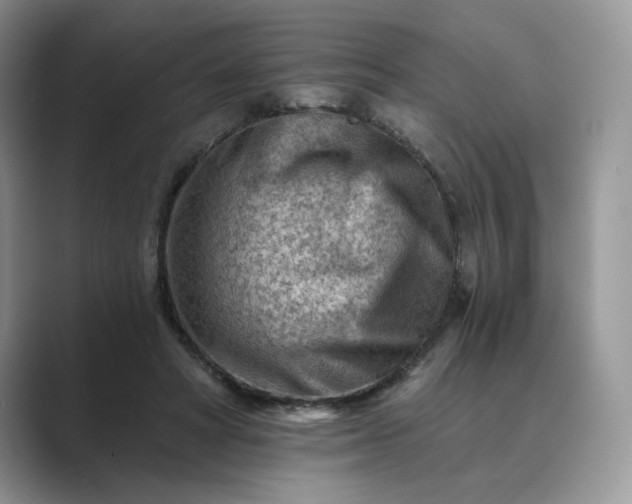 X0000089660402200707051534