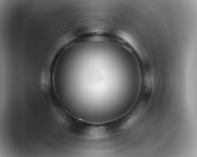 X0000089660403200707051533