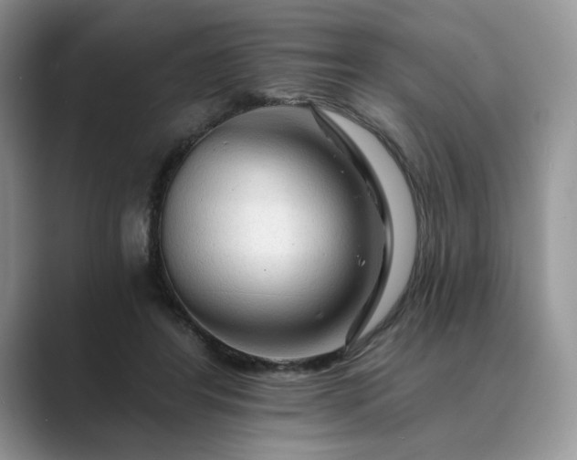 X0000089660404200707051533